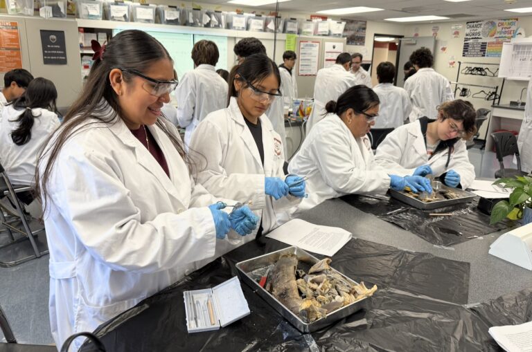 MSCP Students
